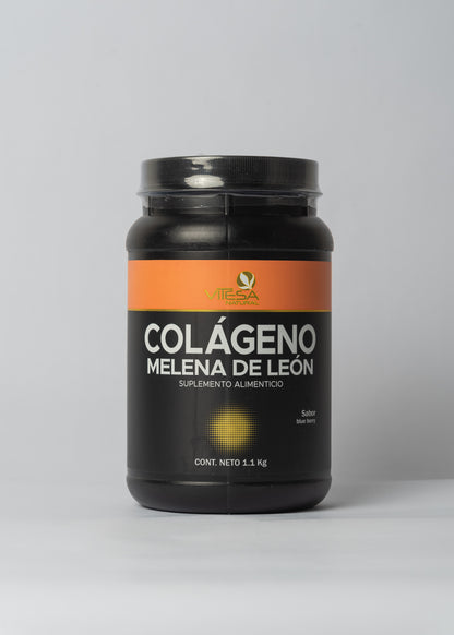 COLAGENO MELENA DE LEÓN